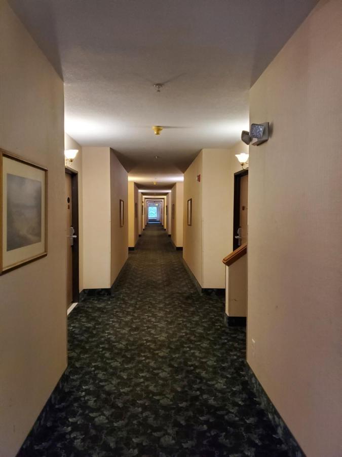 Bellis Inn Μπέλινγκχαμ Εξωτερικό φωτογραφία