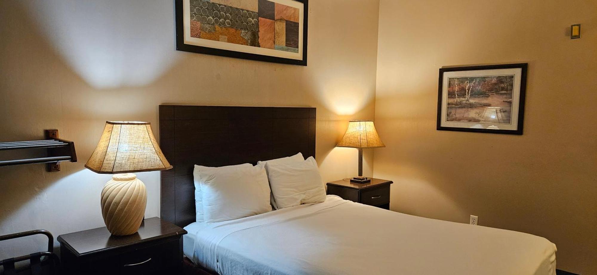 Bellis Inn Μπέλινγκχαμ Εξωτερικό φωτογραφία