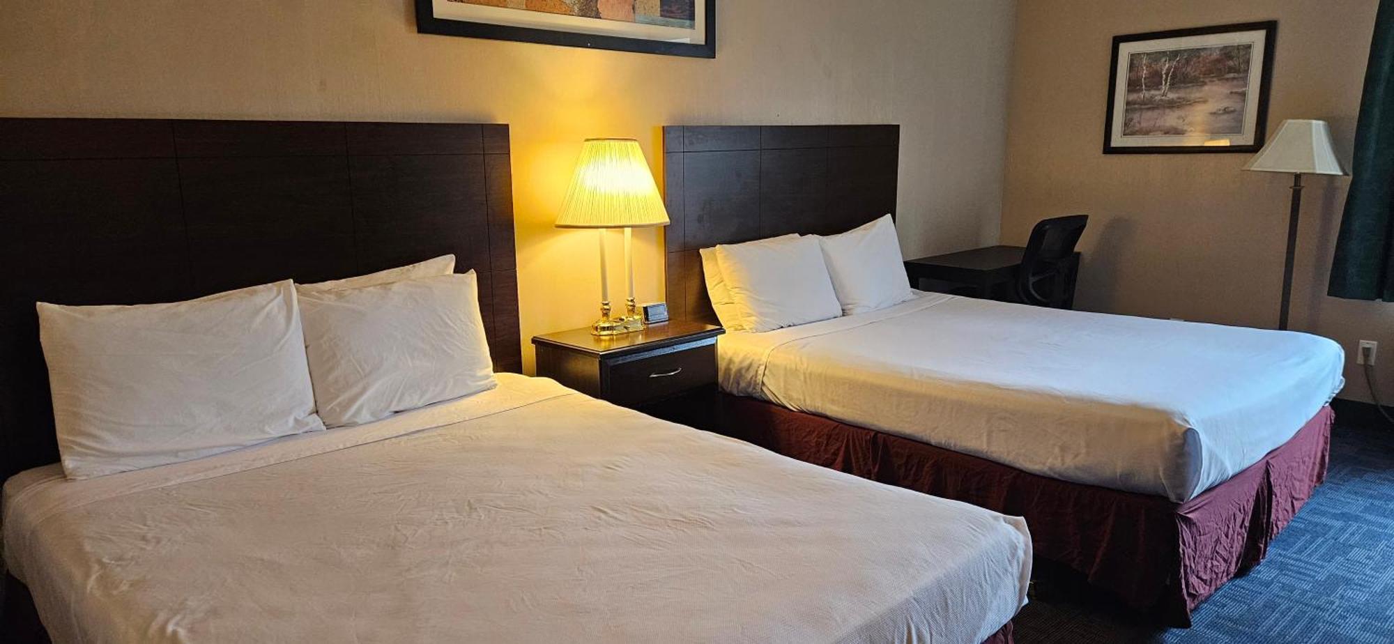 Bellis Inn Μπέλινγκχαμ Εξωτερικό φωτογραφία
