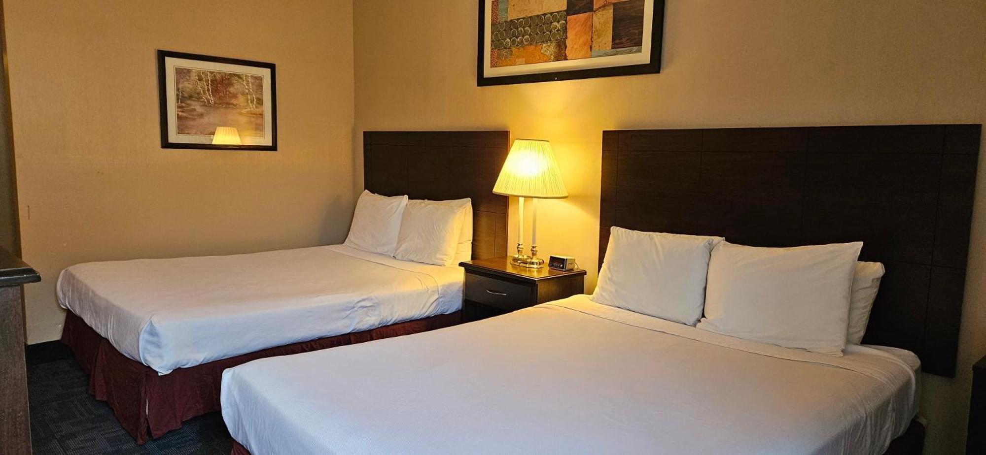 Bellis Inn Μπέλινγκχαμ Εξωτερικό φωτογραφία