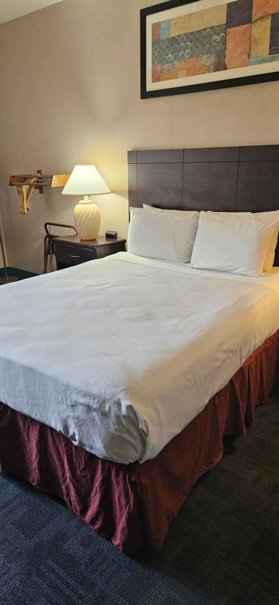 Bellis Inn Μπέλινγκχαμ Εξωτερικό φωτογραφία