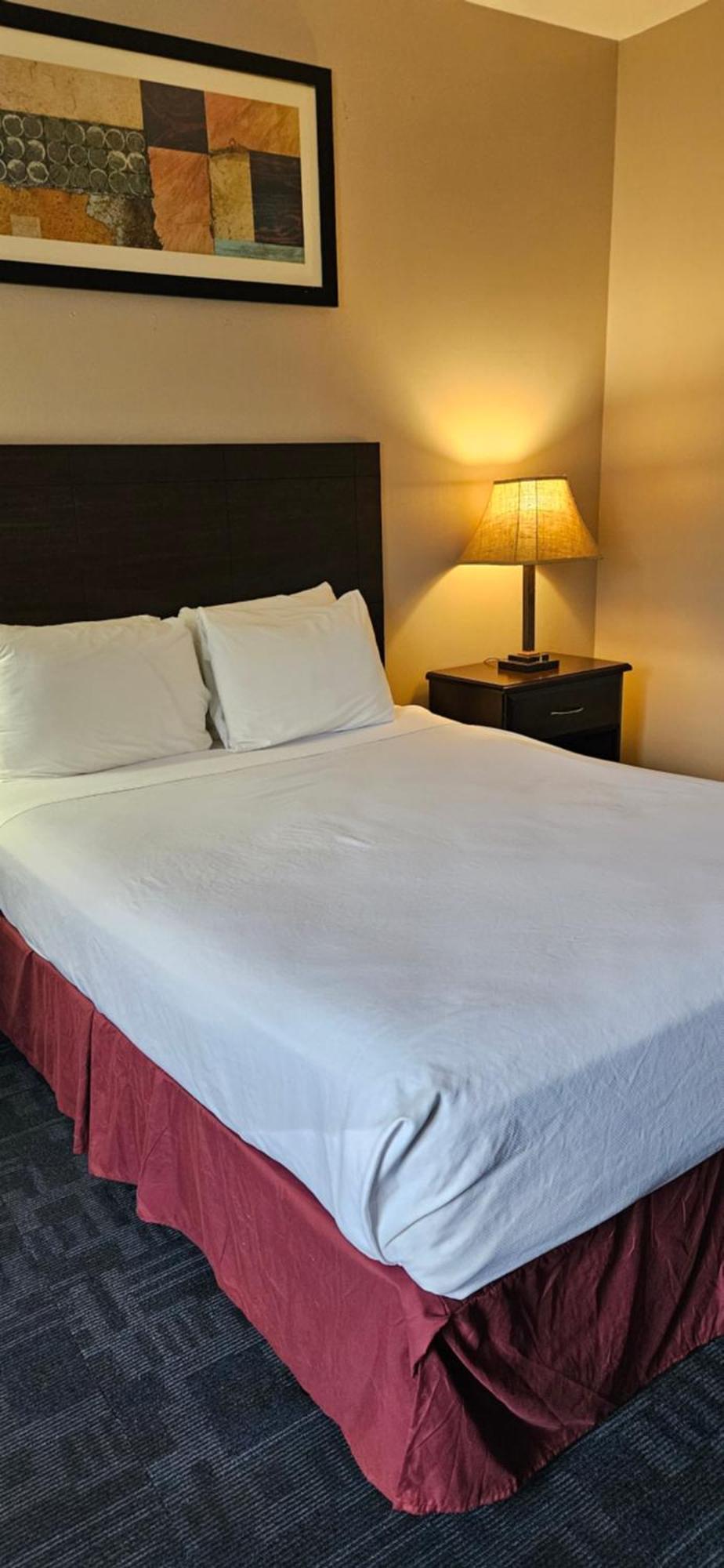 Bellis Inn Μπέλινγκχαμ Εξωτερικό φωτογραφία