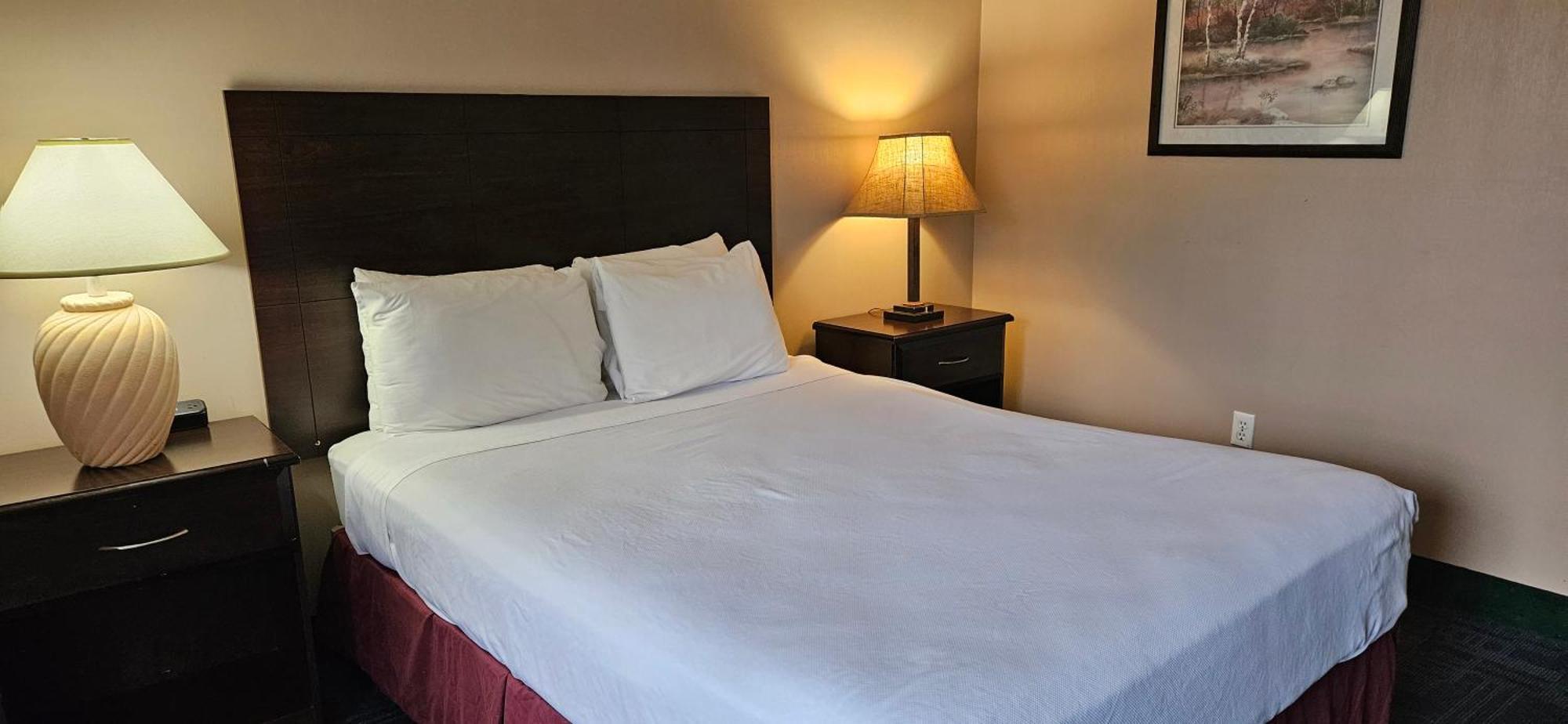 Bellis Inn Μπέλινγκχαμ Εξωτερικό φωτογραφία