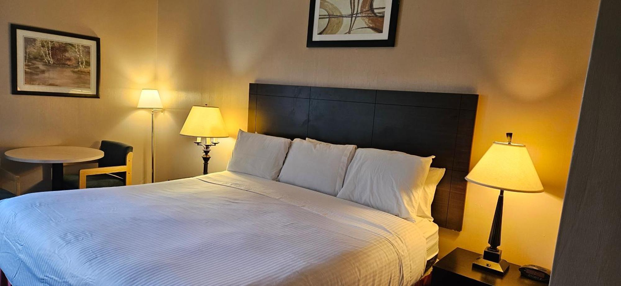 Bellis Inn Μπέλινγκχαμ Εξωτερικό φωτογραφία